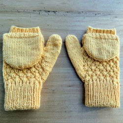 Glaciere convertible mitts (PDF)